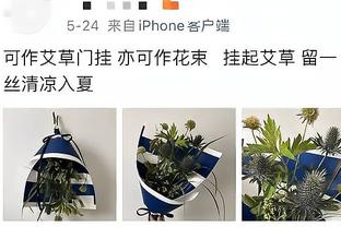 邮报：19名球员和前球员因脑损伤起诉英足总，后期可能涉及数百人